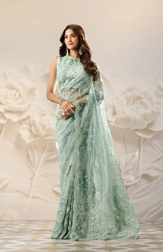 Organza Sarees