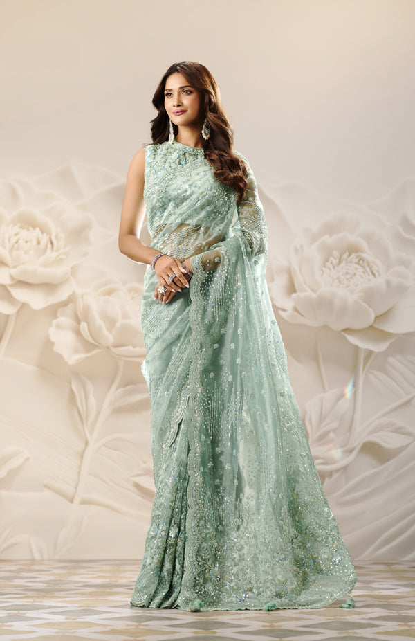 Elite Organza Saree For Festive Wear