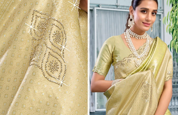 Chandini Veil